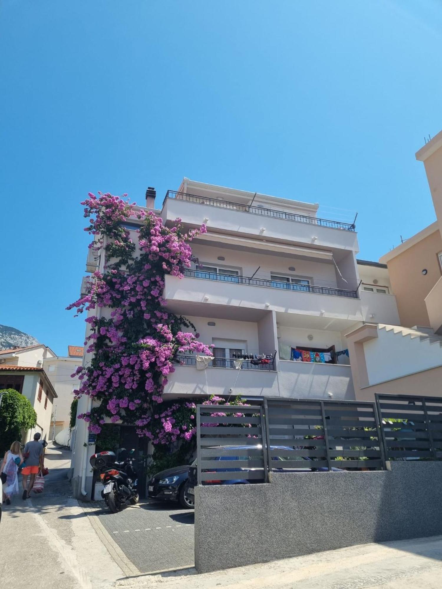 Luny Makarska
